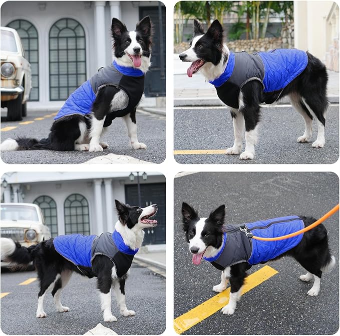 Warm Fleece Dog Coats for Small Dogs,D-Rings Waterproof Puppy Jacket for Cold Winter,Blue XS