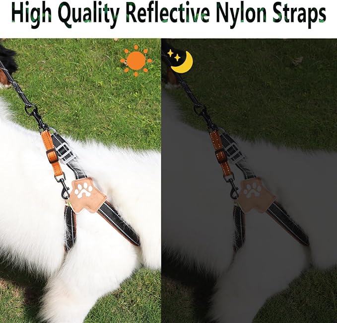 2 Pcs Dog Collar Safety Clips with Double Ended Clasps | Adjustable Collar Backup Clip for Dog Harness & Collars Connectors, Training for Walking, Running, and Hiking, Safety Clip - Orange