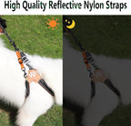 2 Pcs Dog Collar Safety Clips with Double Ended Clasps | Adjustable Collar Backup Clip for Dog Harness & Collars Connectors, Training for Walking, Running, and Hiking, Safety Clip - Orange