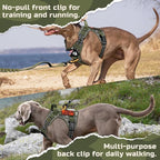 rabbitgoo Tactical Dog Harness for Small Dogs, No Pull Military Service Vest with Handle & Molle, Easy Control for Training Walking, Adjustable Reflective Straps, Green camo, S