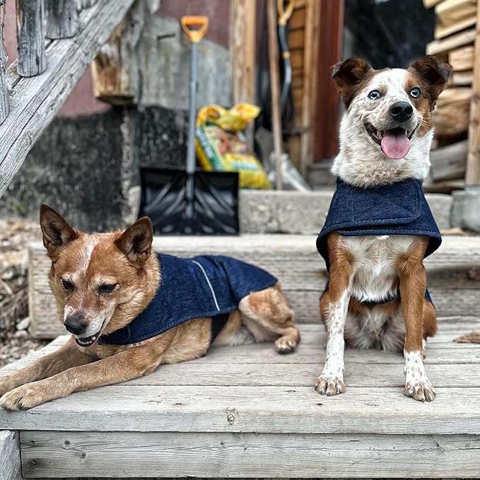 Carhartt Firm Duck Dog Chore Coat, Insulated Weather Resistant Jacket for Cold and Windy Conditions, Denim, Small