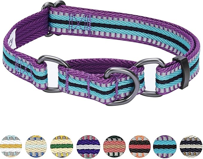 Blueberry Pet 4 Colors 3M Reflective Multi-Colored Stripe Martingale Safety Training Dog Collar, Violet and River Blue, Small, Heavy Duty Adjustable Collars for Dogs