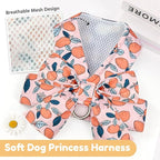 BAEJMJK Dog Harness and Leash Set with Bow Knot No Pull Pet Floral Harness with D-Ring Soft Mesh Dog Harness Vest Set Escape Proof Princess Puppy Harness for Small Girl Dogs Cats（Orange M）