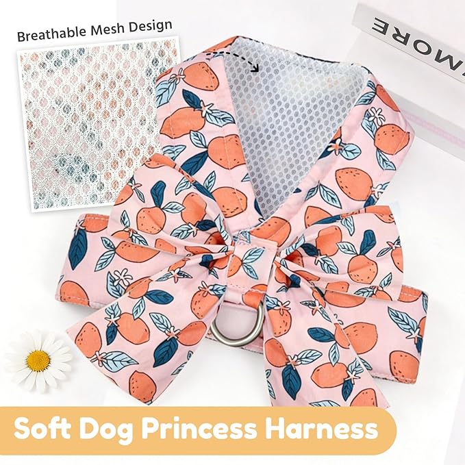 BAEJMJK Dog Harness and Leash Set with Bow Knot No Pull Pet Floral Harness with D-Ring Soft Mesh Dog Harness Vest Set Escape Proof Princess Puppy Harness for Small Girl Dogs Cats（Orange M）