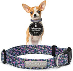 Lucky Love Dog, Comfortable, Soft, Cute Female Dog Collar for Tiny Dogs, Black & Purple Floral Print, Adjustable Nylon Collar, Primrose, X-Small