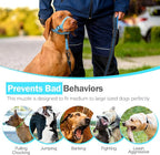 Weesiber No-Pull Dog Head Collar, Adjustable Dog Muzzle Leash Padded Head Halter Training Nose Leash, Easy Control for Walking (Blue,L)