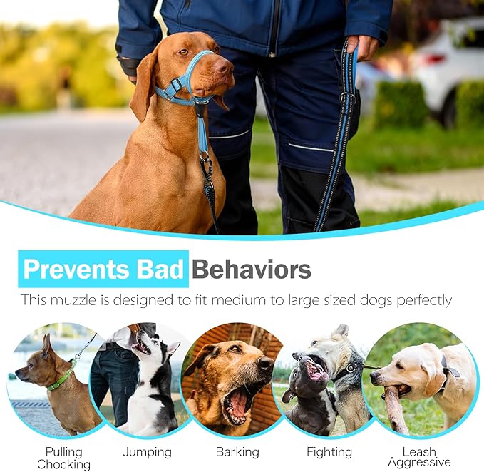 Weesiber No-Pull Dog Head Collar, Adjustable Dog Muzzle Padded Head Halter Training Nose Leash, Easy Control for Walking (Blue,M)