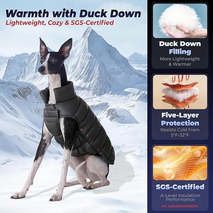 SPACE LION Dog Puffer Jacket, Down Winter Coat, Durable Outdoor Coat for Cold and Windy Conditions, Lightweight & Adjustable Fit Coats for Small Dogs, (Black, Size8/XS)