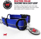 Tuff Pupper Martingale Collar for Dogs | Gentle Nylon & Steel Chain Limited Cinch Design is Perfect for Training | Dual Leash Attachment Points | Durable Quick Release Buckle | Sizing for All Breeds