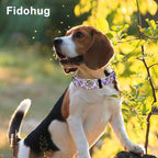 Reflective Martingale Collar for Dogs with Quick Release Buckle Cute Girl Female Flower Dog Collars (Lavender Floral, XSmall)