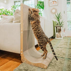 Necoichi Cardboard Cat Scratcher Wall for Indoor Cats - Cat Scratching Board, Cat Scratch Pad Lounger with Reversible Usability and Extra Comfort for Lounge, Curved (Oak, Large)
