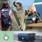 ADITYNA Cotton Dog Collar with AirTag Holder - Heavy-Duty Metal Buckle, Breathable, Easy Adjustable for Medium & Large Breeds - for Walking, Training (Bright Rainbow, Fits 15-21" Necks)