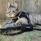 Best Pet Supplies Voyager Step-in Air All Weather Mesh Harness and Reflective Dog 5 ft Leash Combo with Neoprene Handle, for Small, Medium and Large Breed Puppies - Set (Black), L