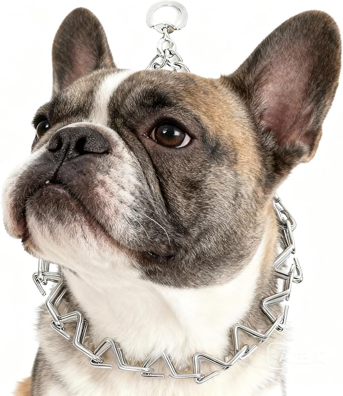 Stainless Steel Curved Prongs Dog Training Collar Adjustable Pet Pinch Collar for Dogs with The Swivel Ring 18in x 2.5mm (Neck Size up to 14in) M