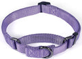 Premium Nylon Adjustable Anti-Escape Martingale Dog Collars,Soft and Silky Dog Collar with Heavy Duty D-Ring for Large Active Dogs Training&Walking. (Ultra Violet, Large)
