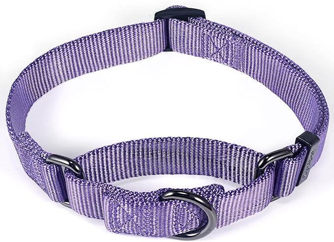 Premium Nylon Adjustable Anti-Escape Martingale Dog Collars,Comfort,Durable and Silky Walking,Training Dog Collar with Sturdy D-Ring for Small Active Dogs Daily Helper. (Ultra Violet, Small)