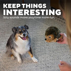 Outward Hound Hedgehogz Stuffed Dog Toy – Soft Plush Hedgehog, Grunts & Squeaks, Medium, 9" x 5" x 6.5"