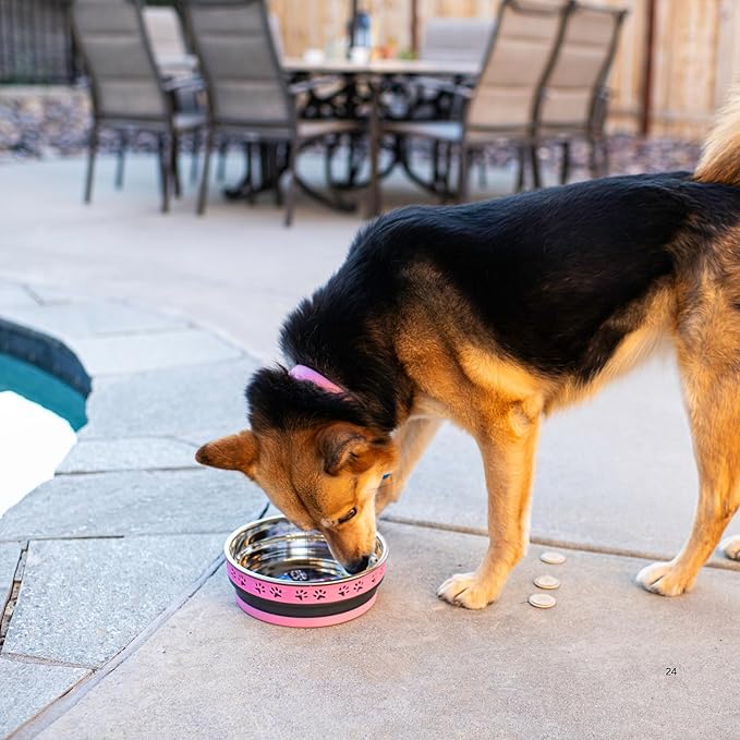 Loving Pets Corsa Dog Bowls- Stainless Steel Dog & Cat Bowls - Spill Proof Dog Food Bowl, Cat Bowl, Puppy Essentials & Pet Supplies Great for Home & Travel (Large 35-65 lbs, Fiery Pink)