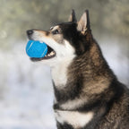 Best Pet Supplies Interactive Squeaky Dog Chew Toy, Ideal Dog Toys for Chewers, Small, Medium & Large Dogs, and Fetch Lovers - Tennis (Assorted Color), Large (Pack of 4)