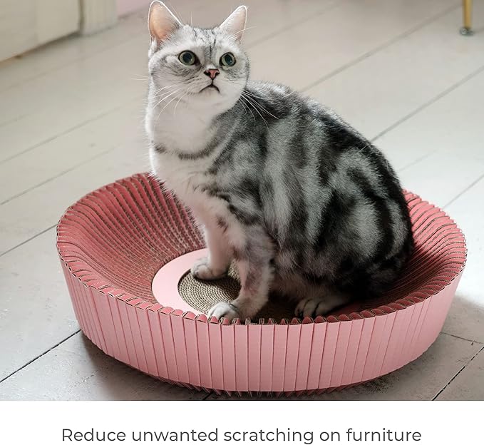 Nest Cat Scratcher Lounge Bed - for Rubbing, Resting, and Scratching (Un-Assembled, Hanami Pink)