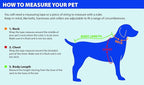 Pets First NFL Pets NFL Jerseys