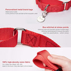 Martingale Dog Collar, Escape-Proof and No Slip Design, Heavy-Duty Nylon with Metal Buckle, Adjustable for Small, Medium & Large Dogs, Colorfast for Training, Daily Walks (Festive Red, M)