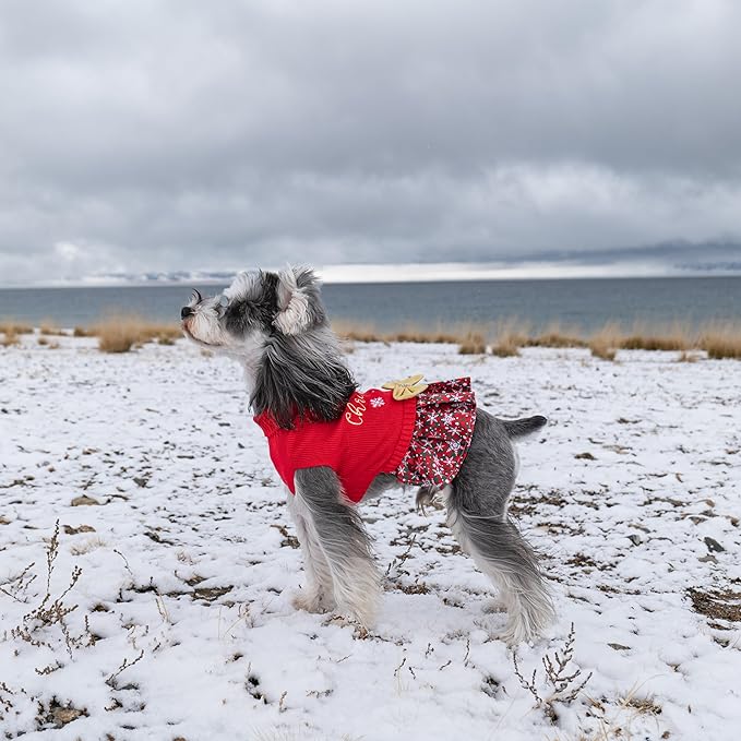 CuteBone Christmas Dog Sweater Dress Turtleneck Puppy Sweater with Bowtie Harness Hole Pullover Winter Dress for Medium Dogs