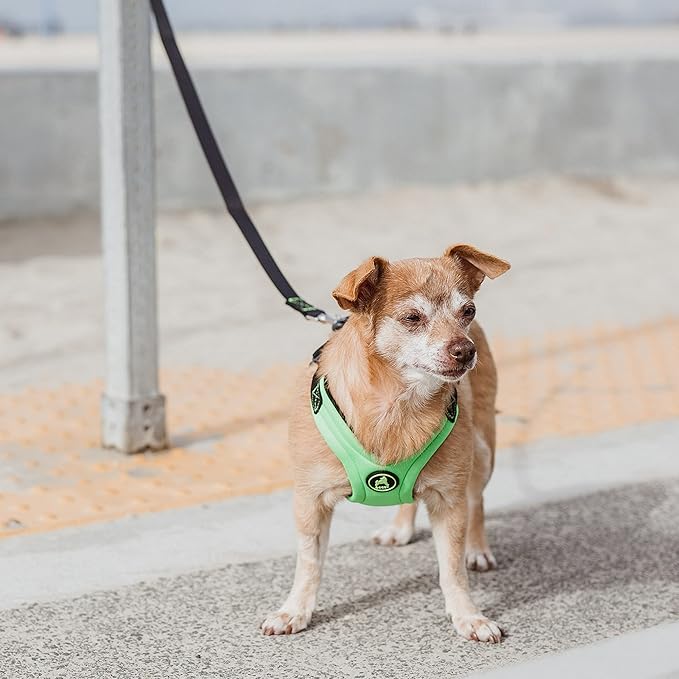 Gooby Escape Free Sport Harness - Lime, Small - No Choke Step-in Patented Neoprene Dog Harness with Four-Point Adjustment for Small to Medium Dogs