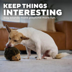 Outward Hound Hedgehogz Stuffed Dog Toy – Soft Plush Hedgehog, Squeaks, 6" x 4" x 4.5"