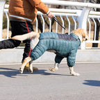 ArmyGreen Dog Jacket, 4-Legs Covered Waterproof Windproof Reflective Warm Dog Vest, Zippered Adjustable Outdoor Snow Jacket for Small/Medium/Large Dogs - XXXL