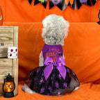 XPUDAC Halloween Dog Dress Witch Tulle Dress Holiday Dog Clothes for Small Dogs Girl, Spider Pet Costume Cat Apparel, Purple-Small