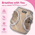 Petank Dog Harness for Small Medium Dogs No Pull, Puppy Harness and Leash Set for Walking, Running, Training, Small Dog Harness, Medium Dog Harness (Brown, XS)