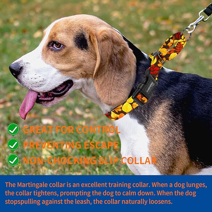Kazazoo Martingale Collar for Dogs with Quick Release Buckle Adjustable Soft Durable Dog Collar for Small Medium Large No Pull Training Dog Collars-Maple Leaf L