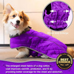 Fragralley Dog Winter Coat, Waterproof Windproof Reflective Fleece Jacket with Harness Hole, Warm Snow Vest for Small Medium Large Dogs, Ideal Gifts
