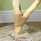 PawHut Cat Tree Tower, 35 Inch Modern Cat Tree for Indoor Adult Cats with Wooden Natural Branch Scratching Posts, Cat Bed & Rope Cat Toy, Brown