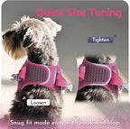 Eagloo Small Dog Harness and Leash Set, Step in Puppy Vest with Breathable Soft Mesh, Walking Reflective Pet Harness for Medium Small Dogs, Rose Red, L