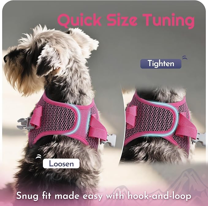 Eagloo Small Dog Harness and Leash Set, Step in Puppy Vest with Breathable Soft Mesh, Walking Reflective Pet Harness for Small Dogs, Rose Red, S