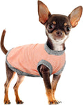 Chic Ion Polyester Dog Vest: Adorable Fashion Apparel for Small, Medium, and Large Breeds - Moisture-Wicking, Soft, Anti-Static, Durable, Easy-to-Clean Shirt - Orange XL