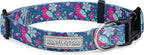 Lucky Love Dog - Adjustable Collar and Leash Set with Easy Click Buckle for Medium Dogs, Durable, & Comfortable Collar for Male & Female Dogs, Puppies & Adul t- CarrieBelle Combo, Medium