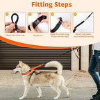 Mayerzon Martingale No Pull Collar for Medium Large Dogs, Patented Anti Pull Dog Collar with Buckle for Walking Training, with Neoprene Padding and Reflective Stitching, Adjustable(Sunset Orange, M)