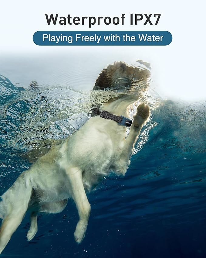 ABBIDOT Shock Collar for Dogs - 3500FT Dog Training Collar with Remote，IPX7 Waterproof & 4 Training Modes, Safety Lock & Night Vision Light，Rechargeable E-Collar for All Breeds