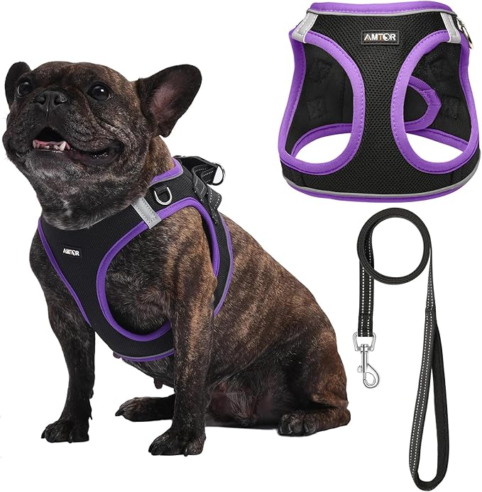 AMTOR Small Dog Harness with Leash Set, No Escape Easy Walk Puppy Harnesses for Training Walking, Step-in Reflective Soft Dogs Vest for XS S Medium Extra-Small Large Sized Dog(XS,Black/Purple)