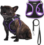AMTOR Small Dog Harness with Leash Set, No Escape Easy Walk Puppy Harnesses for Training Walking, Step-in Reflective Soft Dogs Vest for XS S Medium Extra-Small Large Sized Dog(XL,Black/Purple)