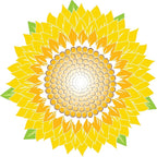 Screen Door Magnets Double Sided – Keep People, Kids, and Dogs from Running into a Screen Door. Saver - Robbins Aria Sunflower