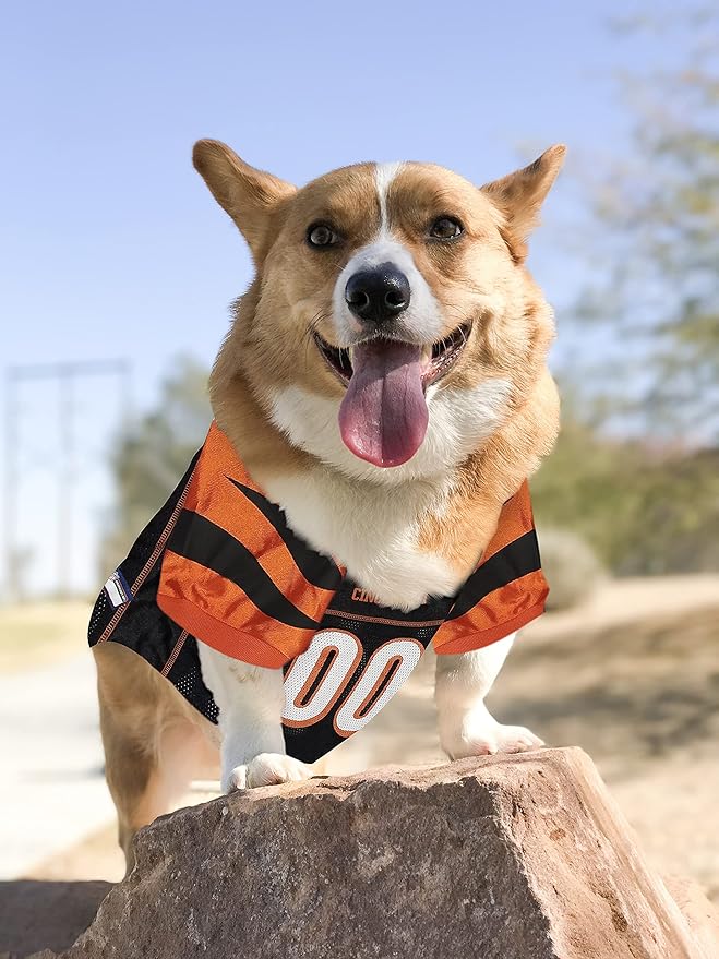 NFL Cincinnati Bengals Dog Jersey - XX-Large, Football Jersey Costume for Dogs