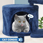 Cat Tree 36 Inch Cat Tower for Indoor Cats with Scratching Post,Padded Perch,Hanging Toys for Kittens & Adult Cats,Beige (Navy Blue)
