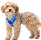 BARKBAY No Pull Dog Harness Large Reflective Dog Harness with Front Clip and Easy Control Handle for Walking Training Running with ID tag Pocket(Sapphire Blue & Blue,XS)