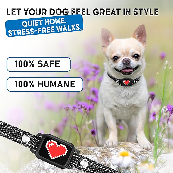 Bark Collar for Small Dogs 5-15 lbs with Magnetic Charging – No Shock, 3 Beep & Vibration Modes, 5 Sensitivity Levels – Humane Stop Anti-Barking Device – Dog Training Bark Collar (Black/Red Heart)