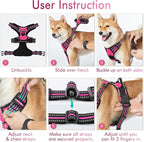rabbitgoo Dog Harness No Pull with 2 Leash Clips, Adjustable Soft Padded, Reflective Oxford No Choke Pet Vest with Easy Control Handle for Medium Sized Dogs, Hot Pink, M