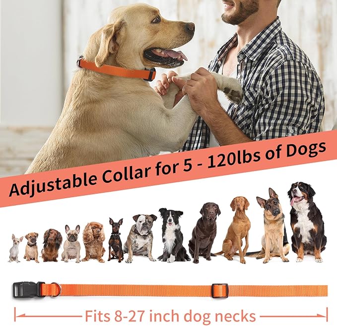 PaiPaitek No Shock Dog Training Collar for 2 Dogs – 3300ft Remote, Waterproof Vibration Collar for 2 Dogs, Humane Vibration & Beep, 5-120 lbs